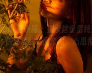 partycat轰趴猫 - 别被这份清纯迷了眼——陈雅漫的美图套图，心思很多