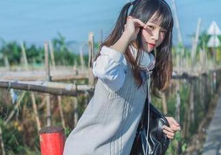 从未见过的图包：初音兔女郎的呆萌形象，疯猫ss带你品鉴！